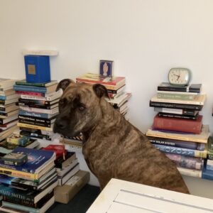 TESS ADAMS/Copyright