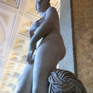 ADAMS/Venus