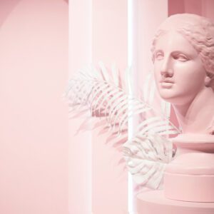 SHUTTERSTOCK Venus Head