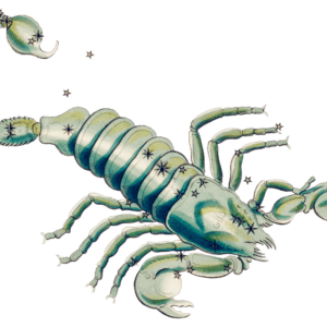 SCORPIO RAWPIXEL